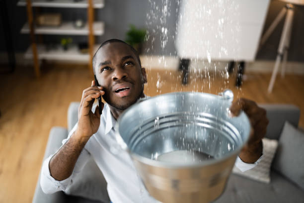  Murray, UT Water damage restoration Pros