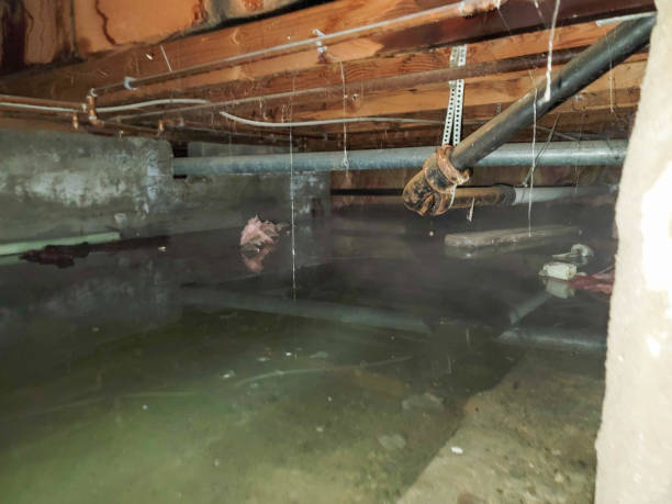 Best Water damage restoration near me  in Murray, UT