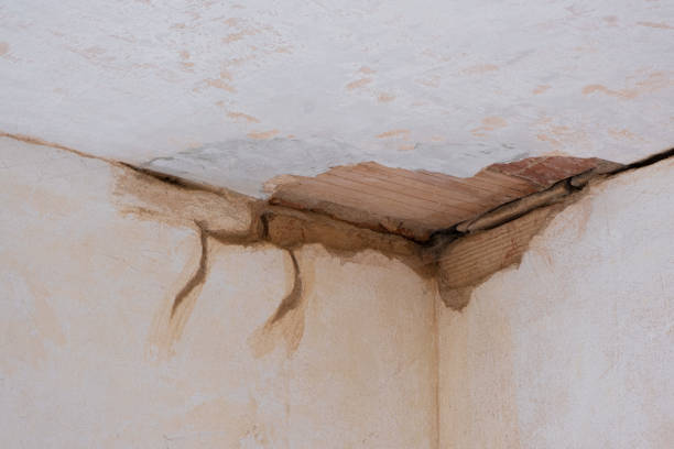 Best Fire Damage Restoration  in Murray, UT