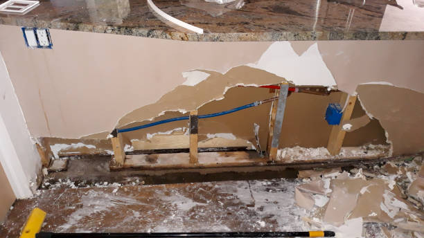 Best Basement water damage restoration  in Murray, UT