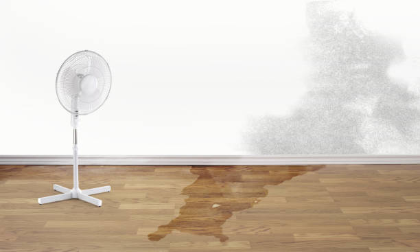 Best Water damage restoration company  in Murray, UT