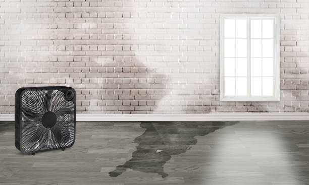 Best Emergency water damage restoration  in Murray, UT