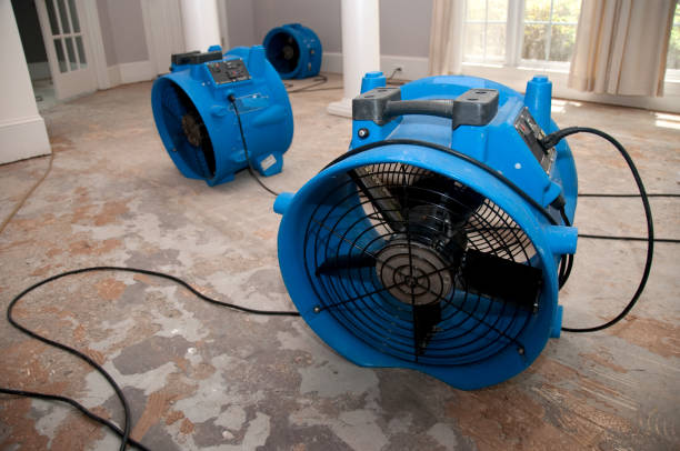 Best Flood restoration services  in Murray, UT