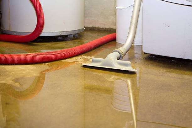 Best Mold removal after water damage  in Murray, UT
