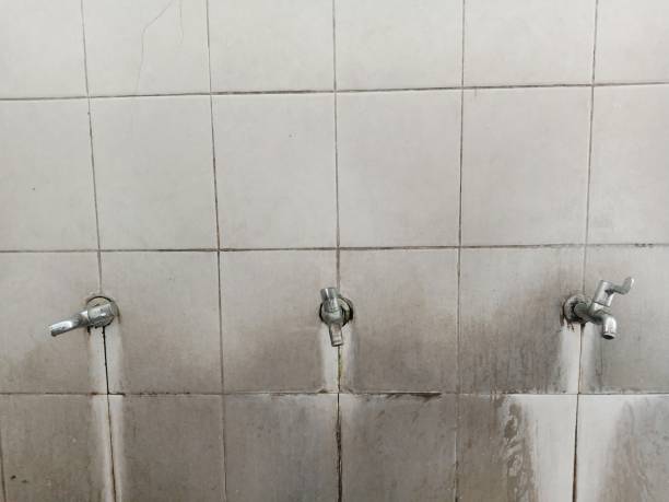 Best Carpet water damage restoration  in Murray, UT