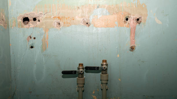 Best 24-hour water damage restoration  in Murray, UT