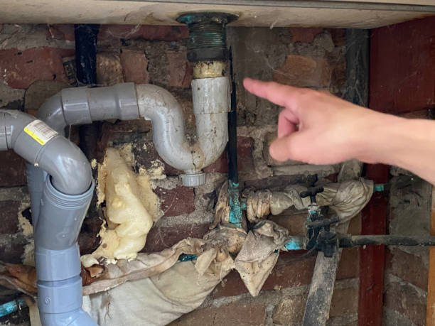 Best Mold removal after water damage  in Murray, UT