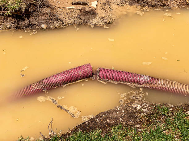 Best Sewage cleanup and water damage restoration  in Murray, UT