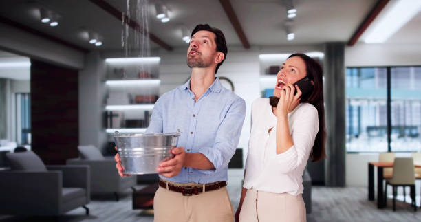 Best 24/7 water damage repair  in Murray, UT