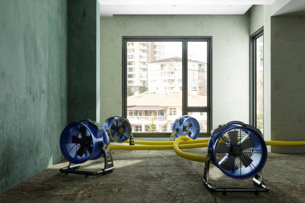 Fire Damage Restoration in Murray, UT